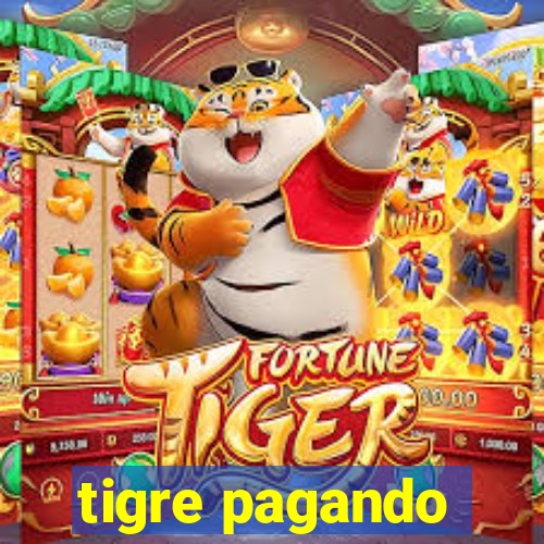 tigre pagando