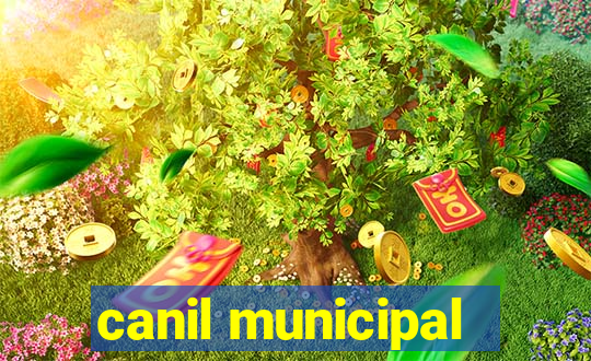 canil municipal