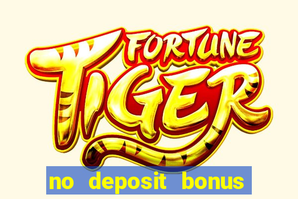 no deposit bonus bingo casino