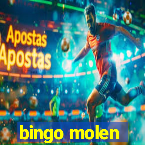 bingo molen