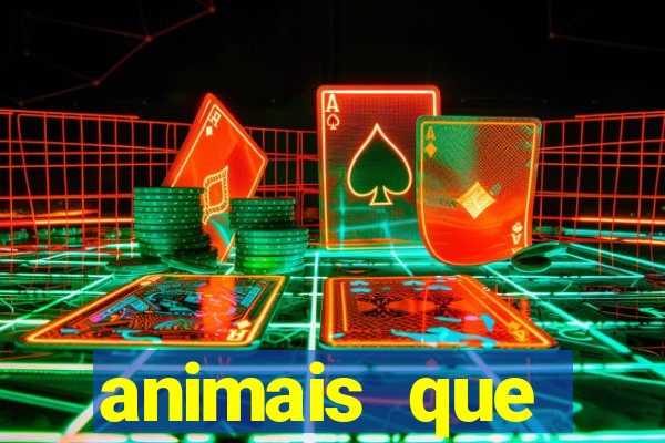 animais que produzem alimentos