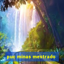 puc minas mestrado