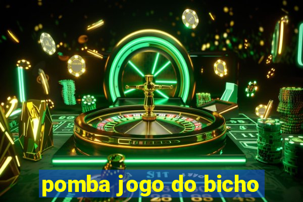 pomba jogo do bicho