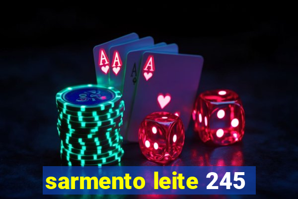 sarmento leite 245