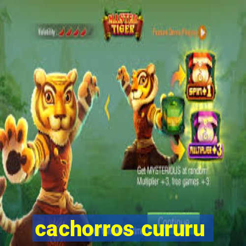 cachorros cururu