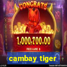 cambay tiger