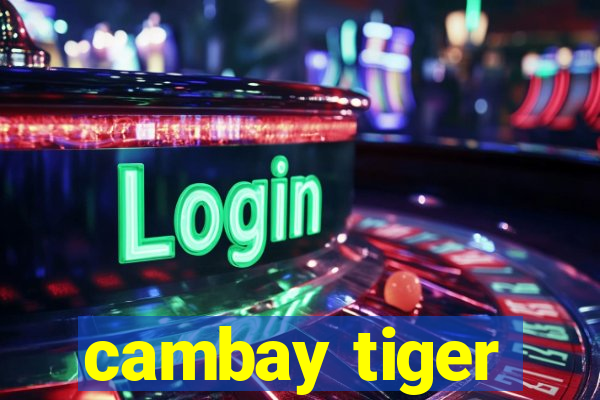 cambay tiger