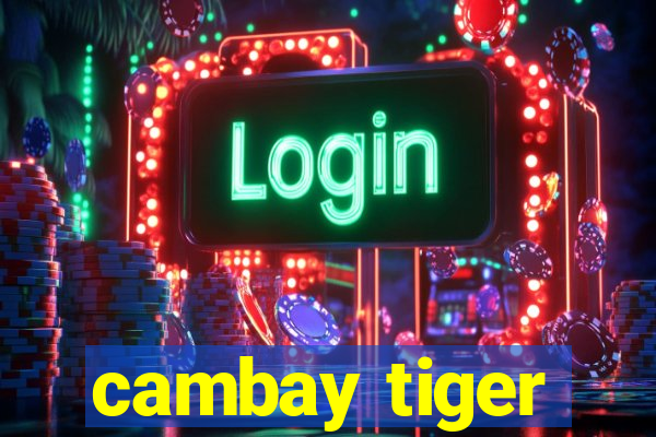 cambay tiger