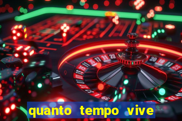 quanto tempo vive um passarinho bem-te-vi