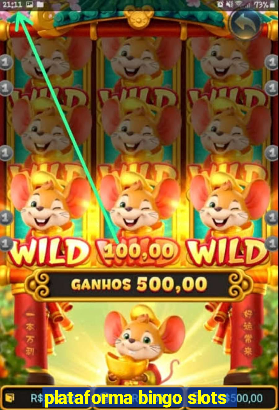 plataforma bingo slots