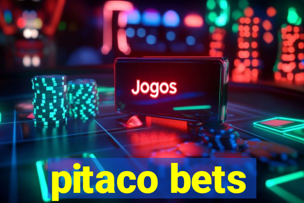 pitaco bets