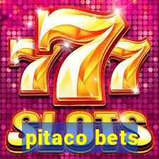 pitaco bets