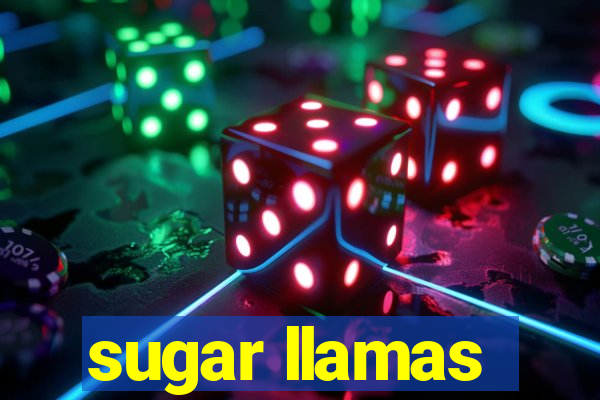 sugar llamas