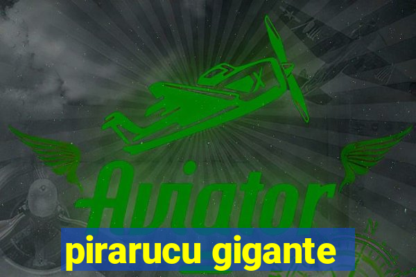 pirarucu gigante