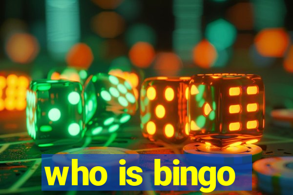 who is bingo