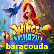 baracouda