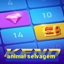 animal selvagem