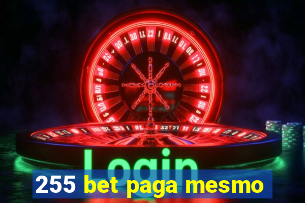 255 bet paga mesmo