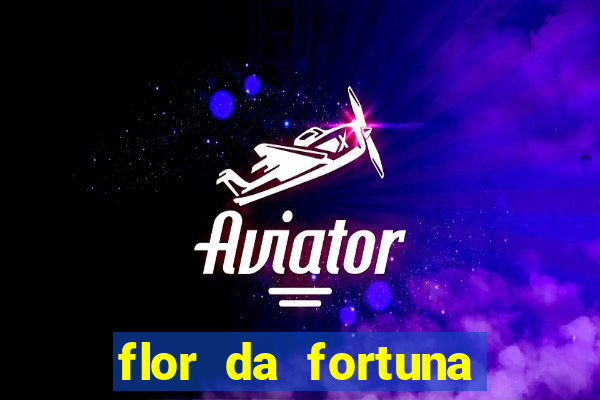 flor da fortuna como cuidar