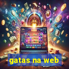 gatas na web