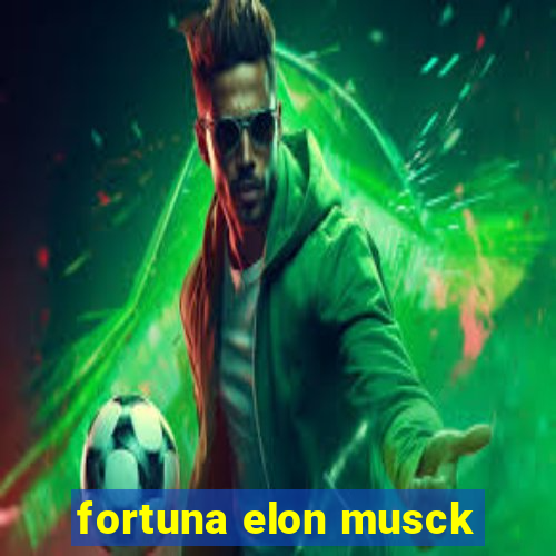 fortuna elon musck