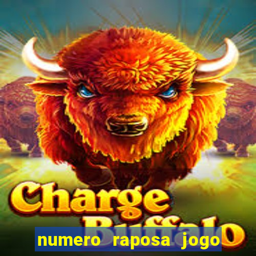 numero raposa jogo do bicho