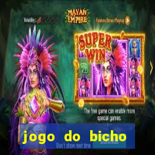 jogo do bicho jogar online