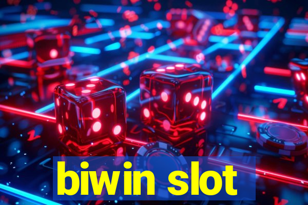 biwin slot