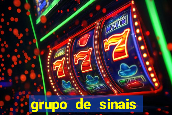 grupo de sinais fortune rabbit